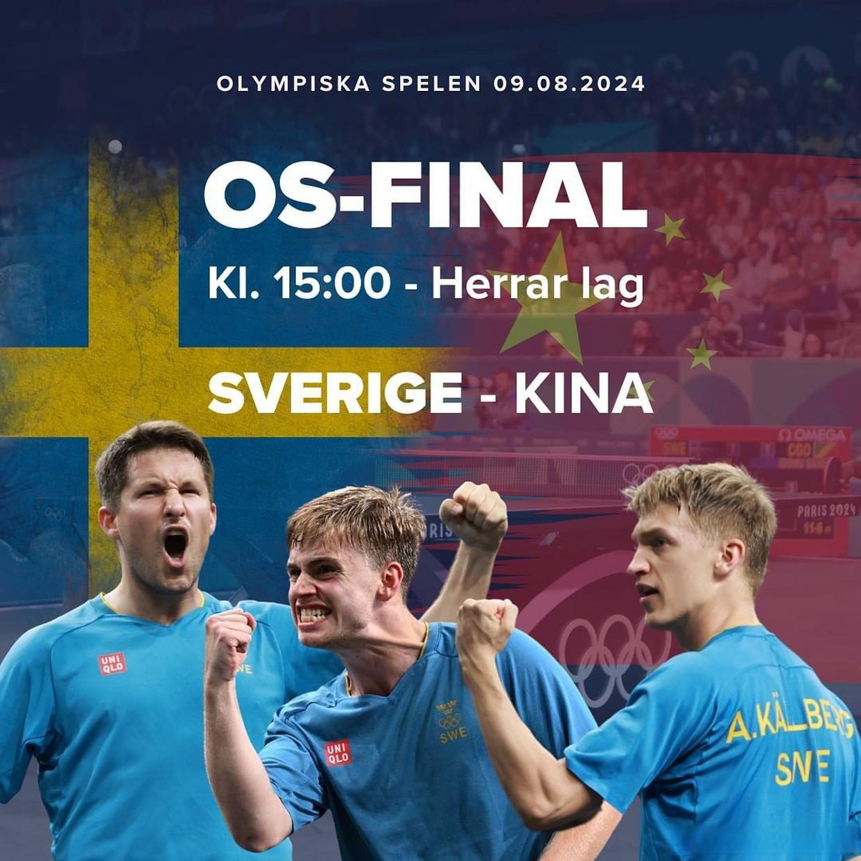 瑞典队员斗志昂扬,成功闯入四强的简单介绍 瑞典队员斗志昂扬,成功闯入四强的简单介绍