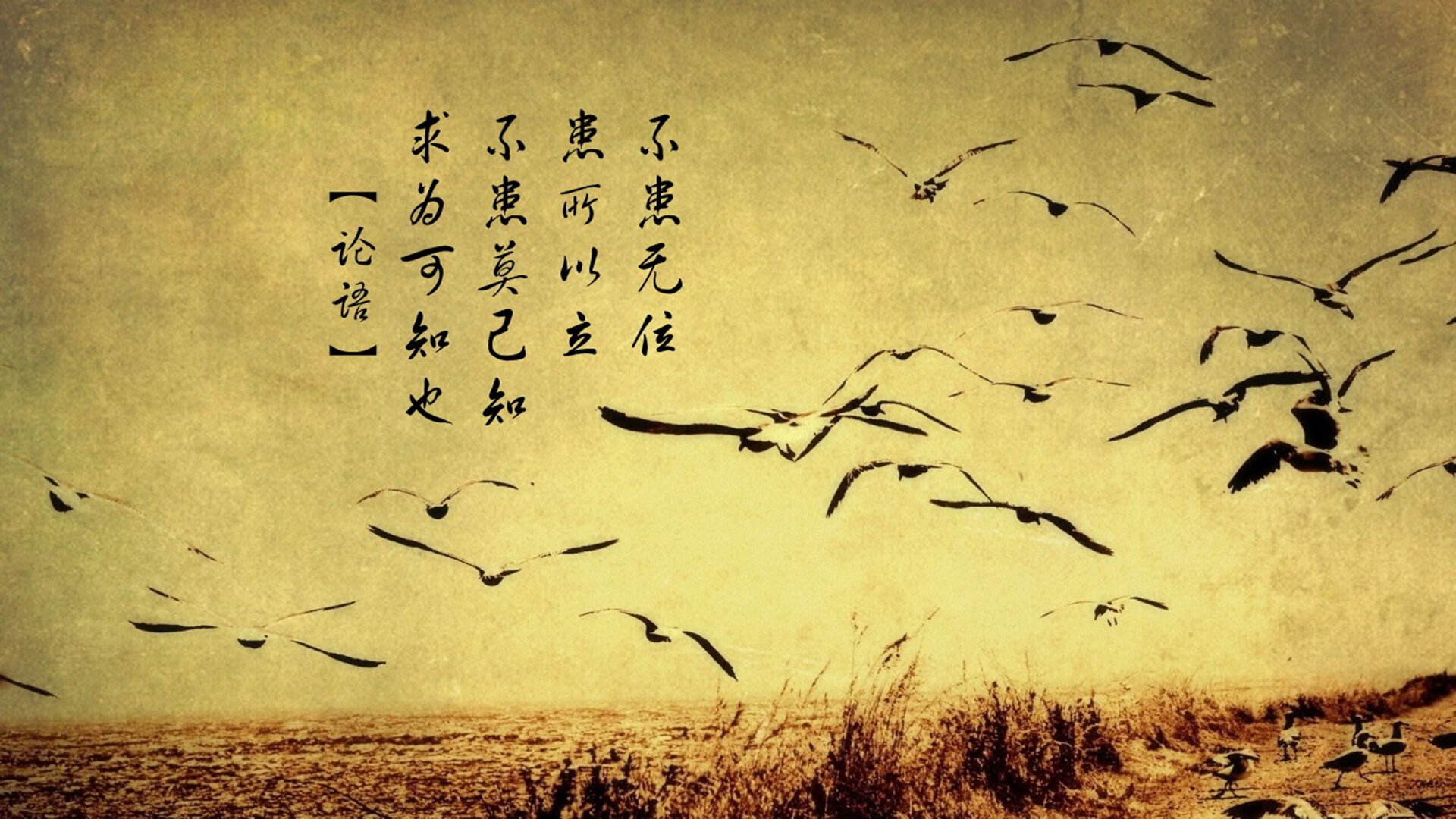 坎特式覆盖点燃全场！塞内加尔团队战车碾过几内亚