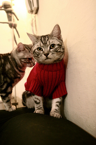 战术完胜！巴拉圭全面压制安哥拉，布鲁诺闪耀全场获评满分