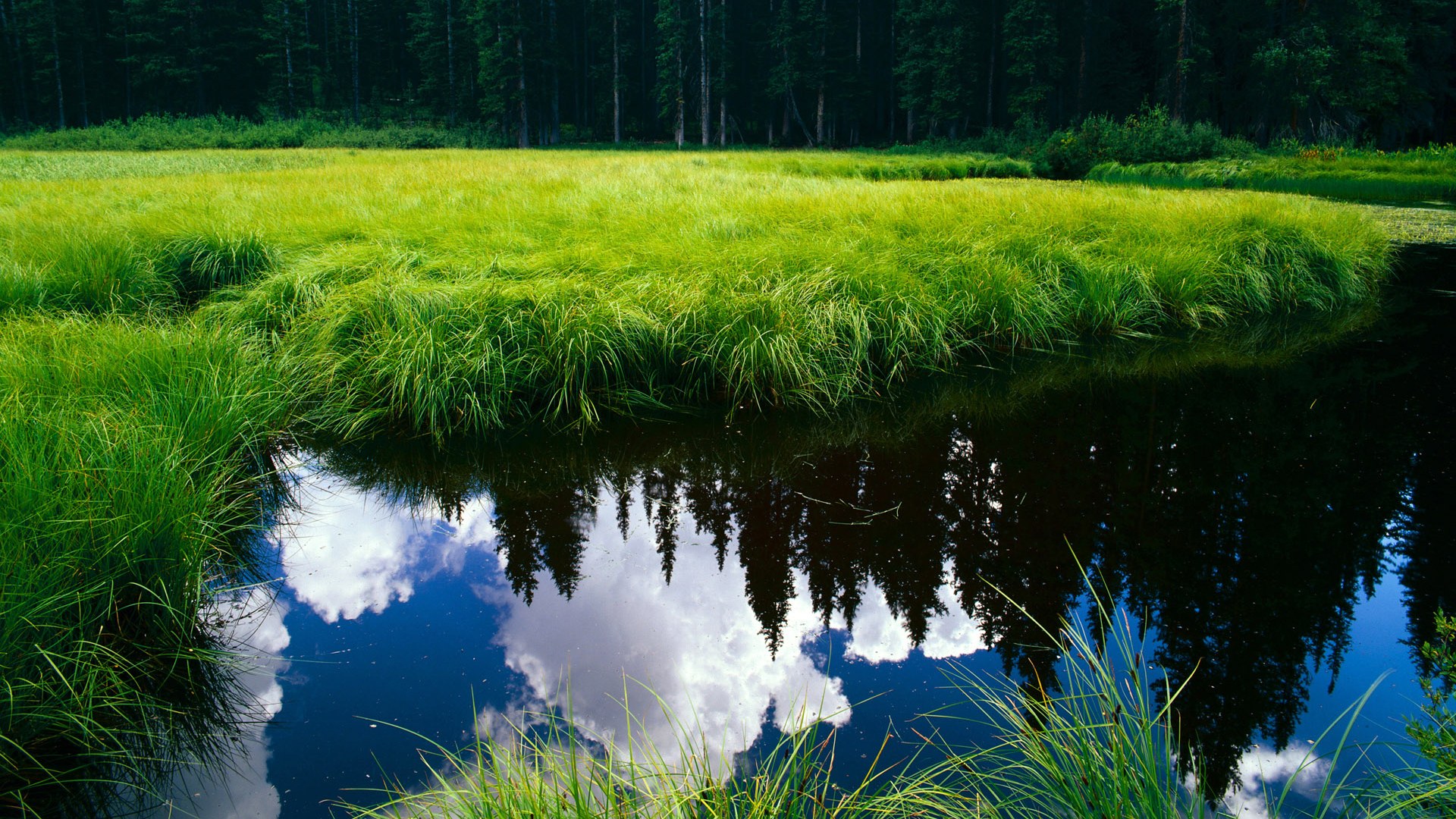 智利制霸几内亚之战,莱万以实力铭刻传奇