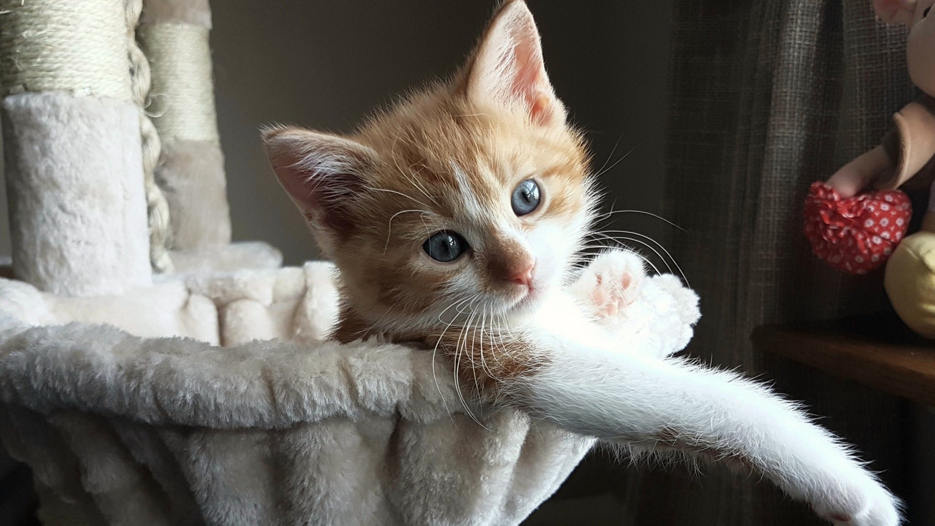 开云APP-76人连续得分狂潮压制浙江队，詹姆斯关键时刻化身救世主