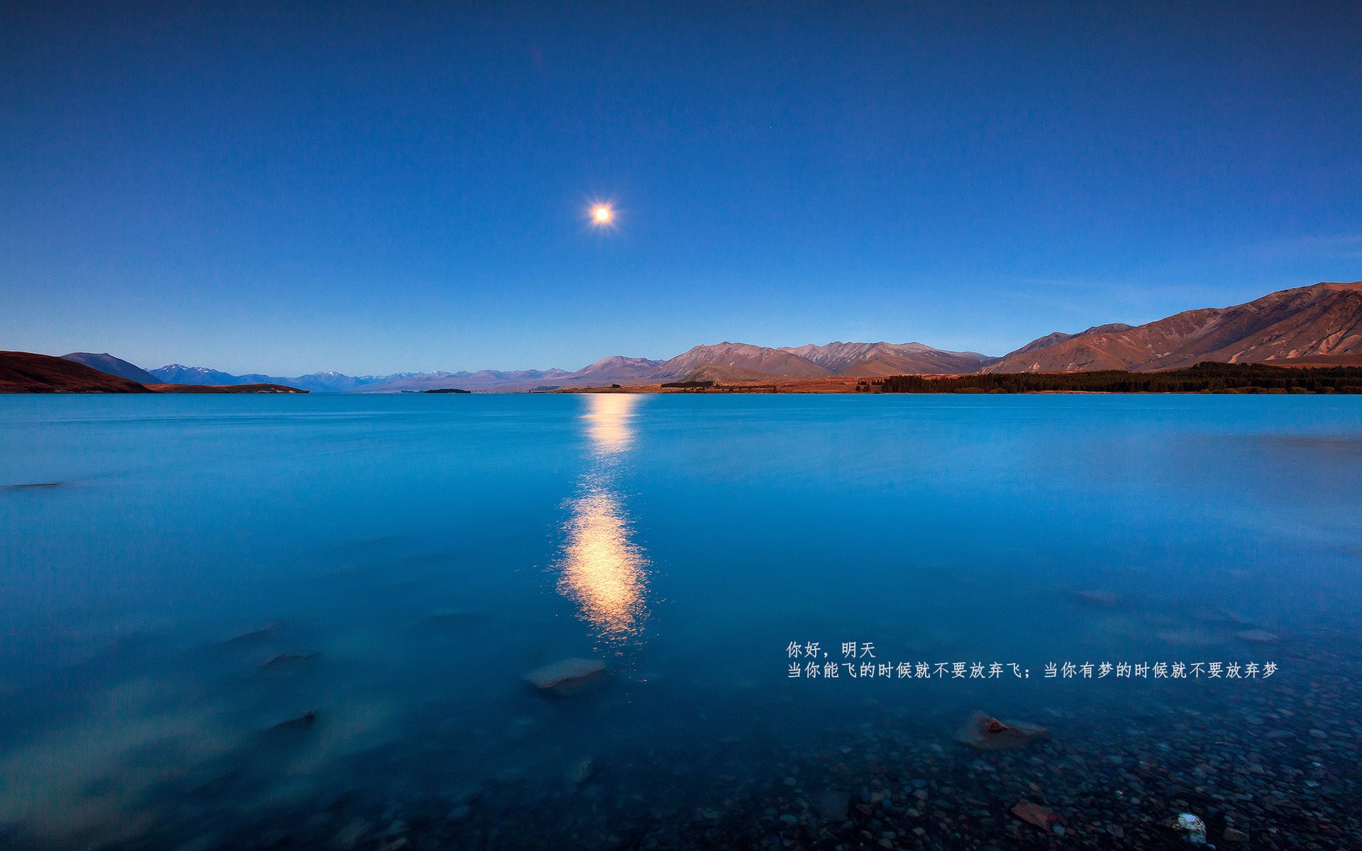 开云体育中国-2026世界杯之夜，伦纳德篮球生涯的辉煌时刻