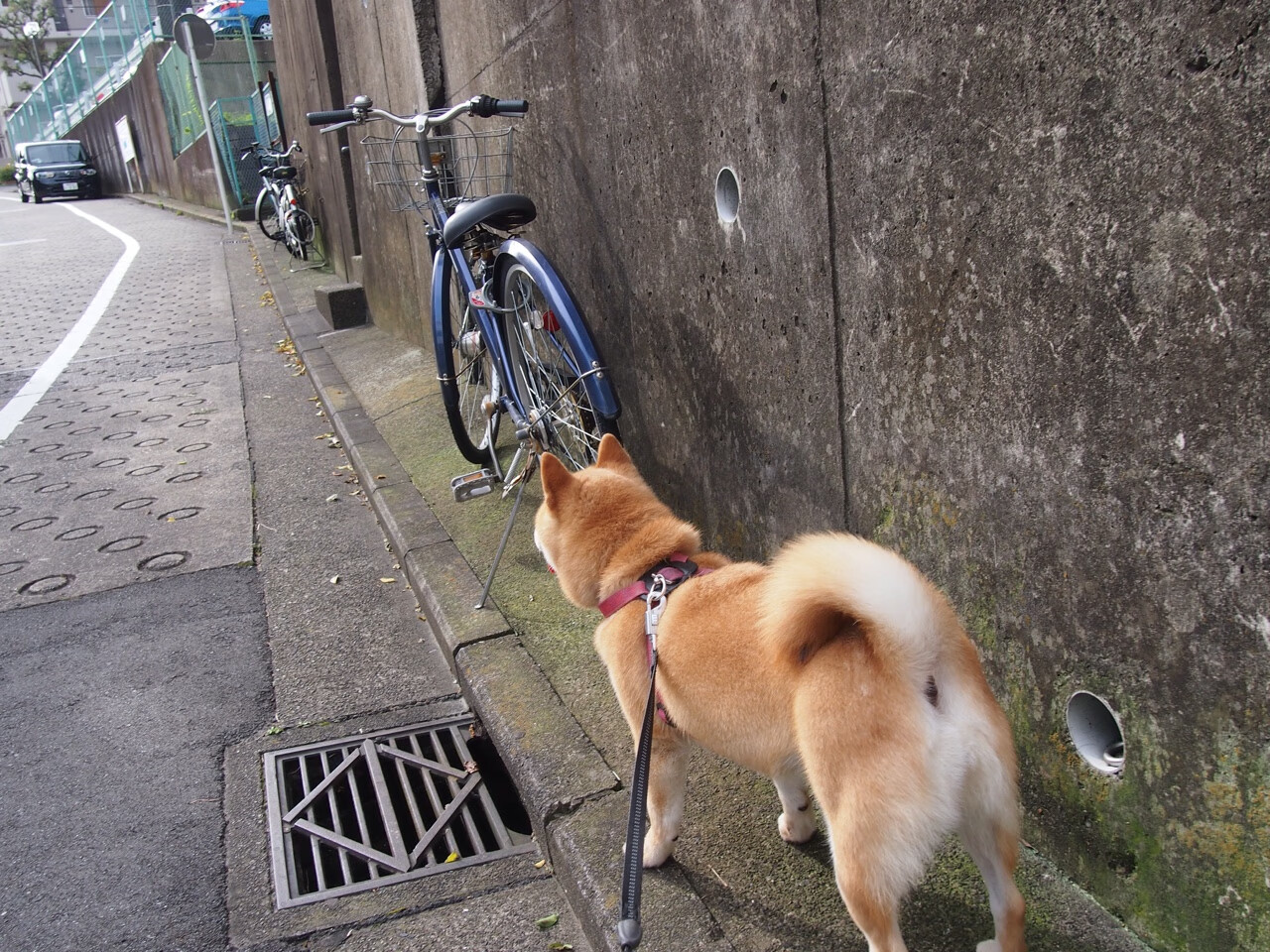 世界排名争夺战焦点战，威尔士最后时刻绝杀拉齐奥，改写足球格局