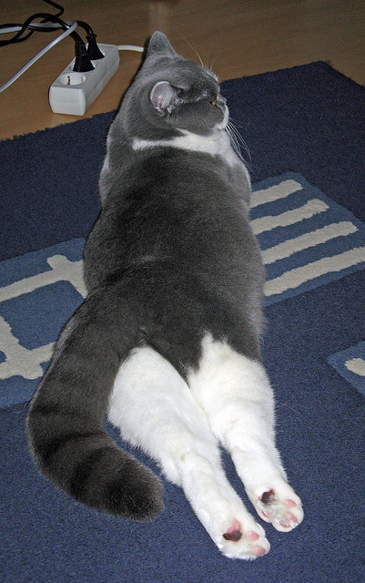 开云体育登录-时光交错，从吉林压哨绝杀到利拉德接管世界的篮球瞬间