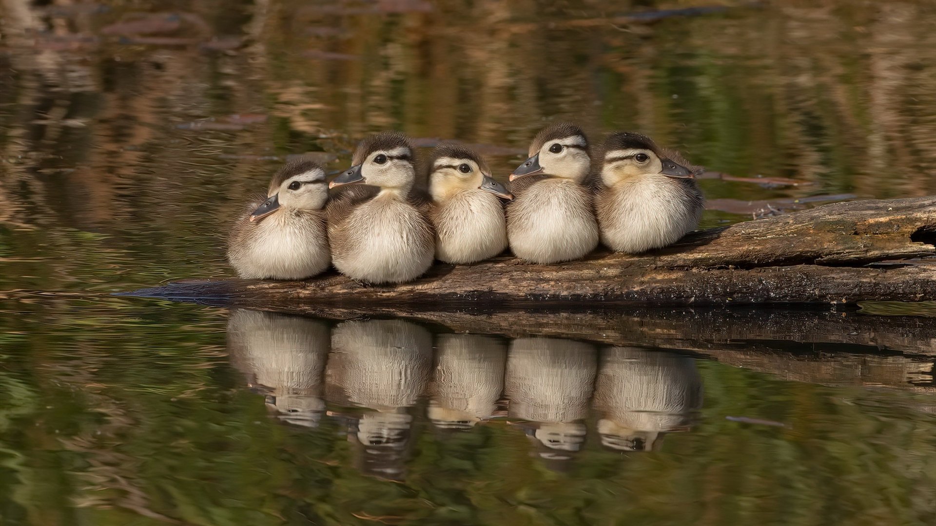 跨界风暴，曼城速胜比利时，劳塔罗NBA总决赛逆天接管