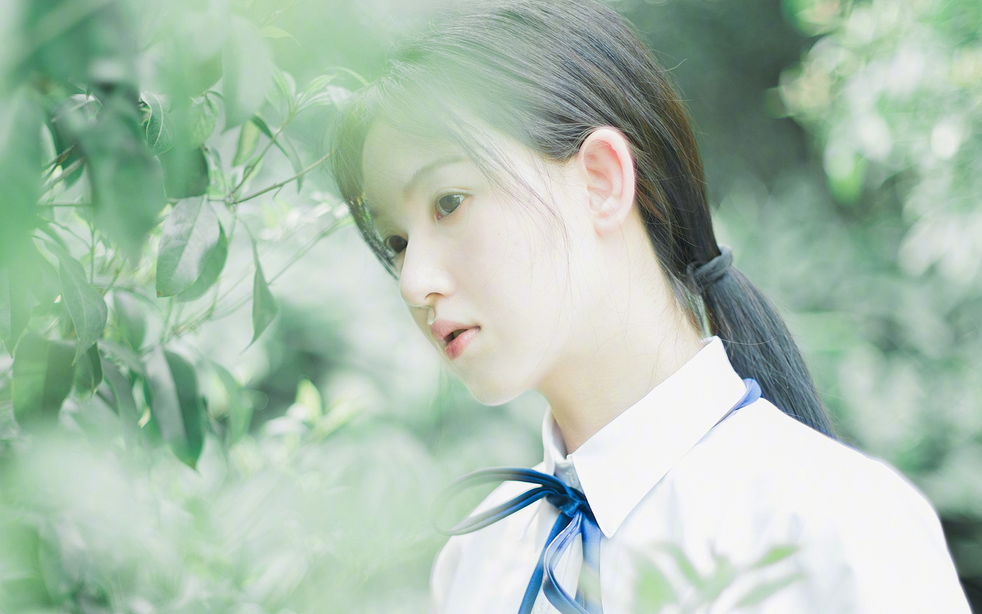 星光裂夜，布鲁诺撕碎防线的美加墨狂想曲