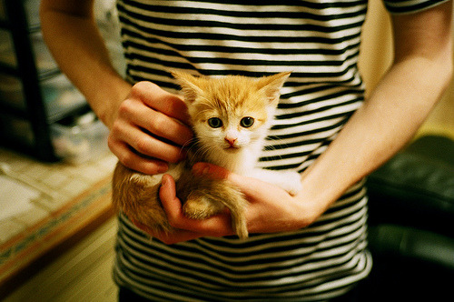 孤星闪耀,暗夜沉船