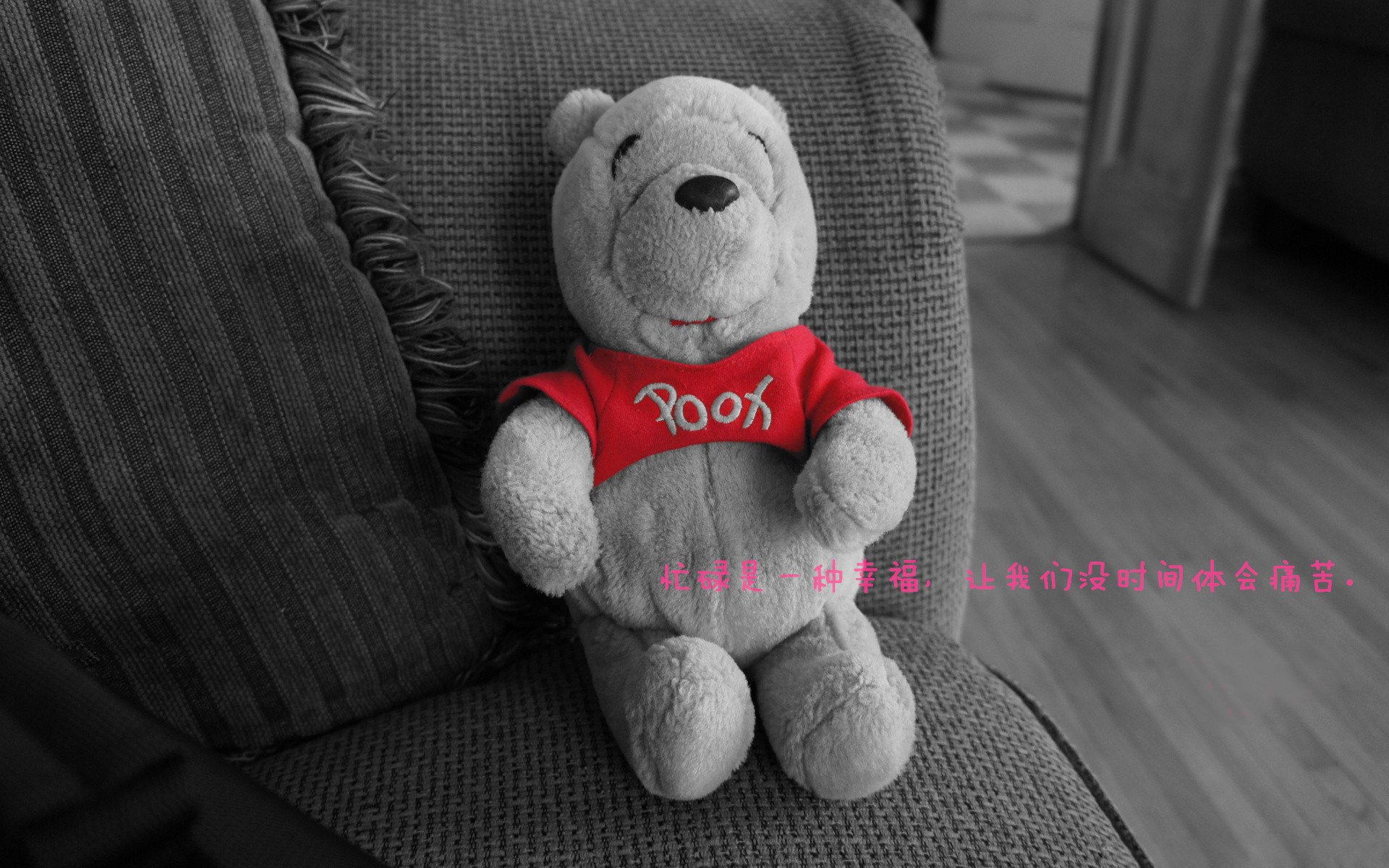 从约基奇到浙江队，篮球智慧如何诠释教科书级的胜负艺术