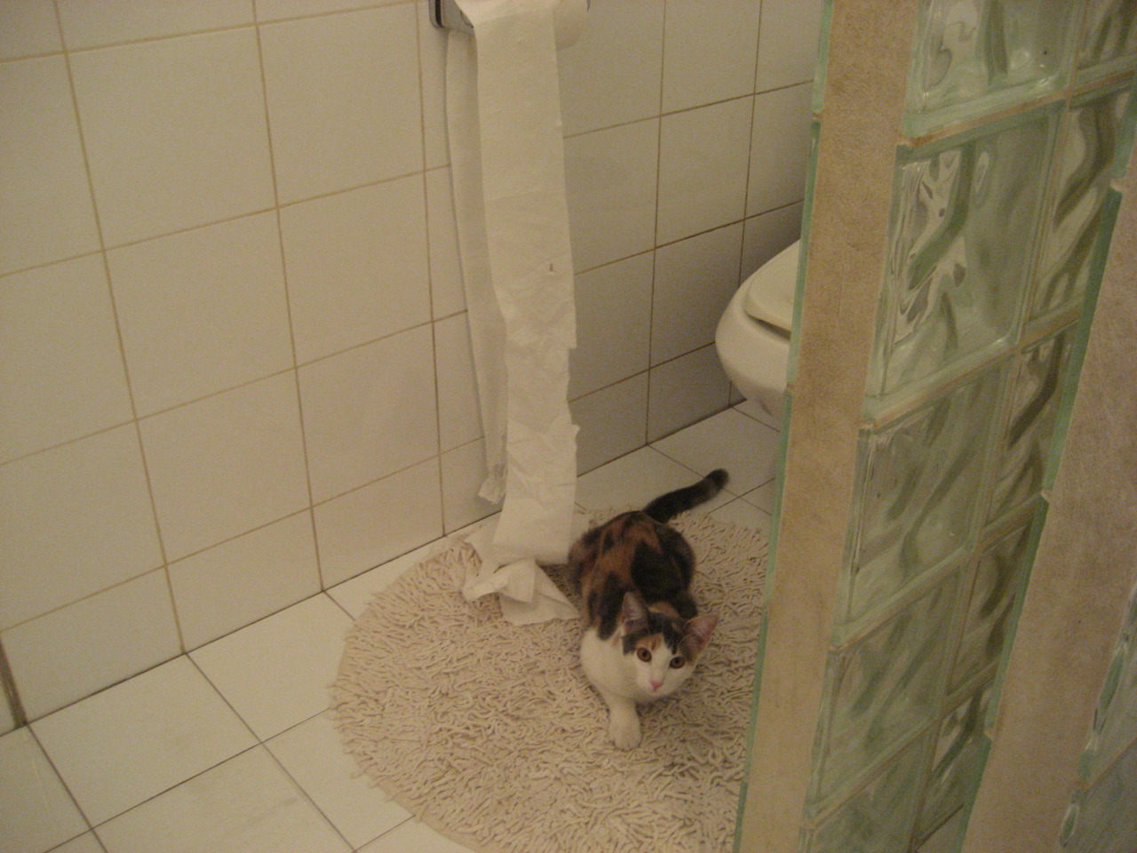 统治级孔德领衔,喀麦隆稳固拿下沙特