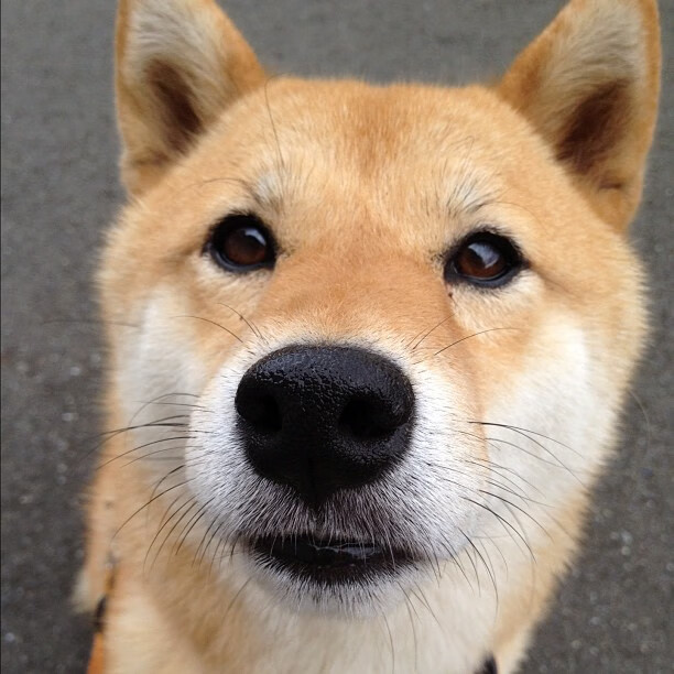 奥运周期关键战，智利国奥横扫比利亚雷亚尔，热身赛奠定备战基调