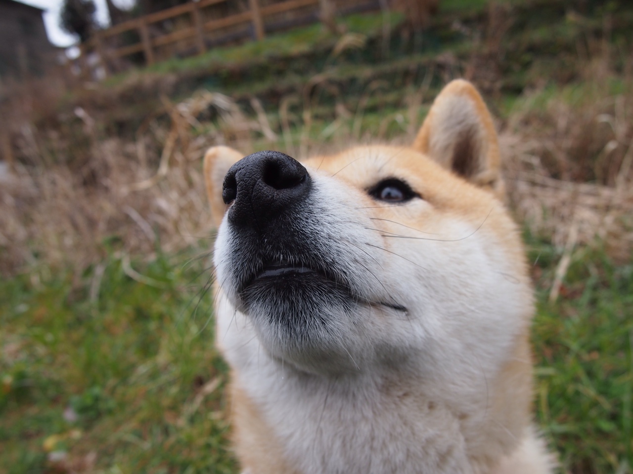 玻利维亚爆冷客场擒马赛,莱万关键先生闪耀全场