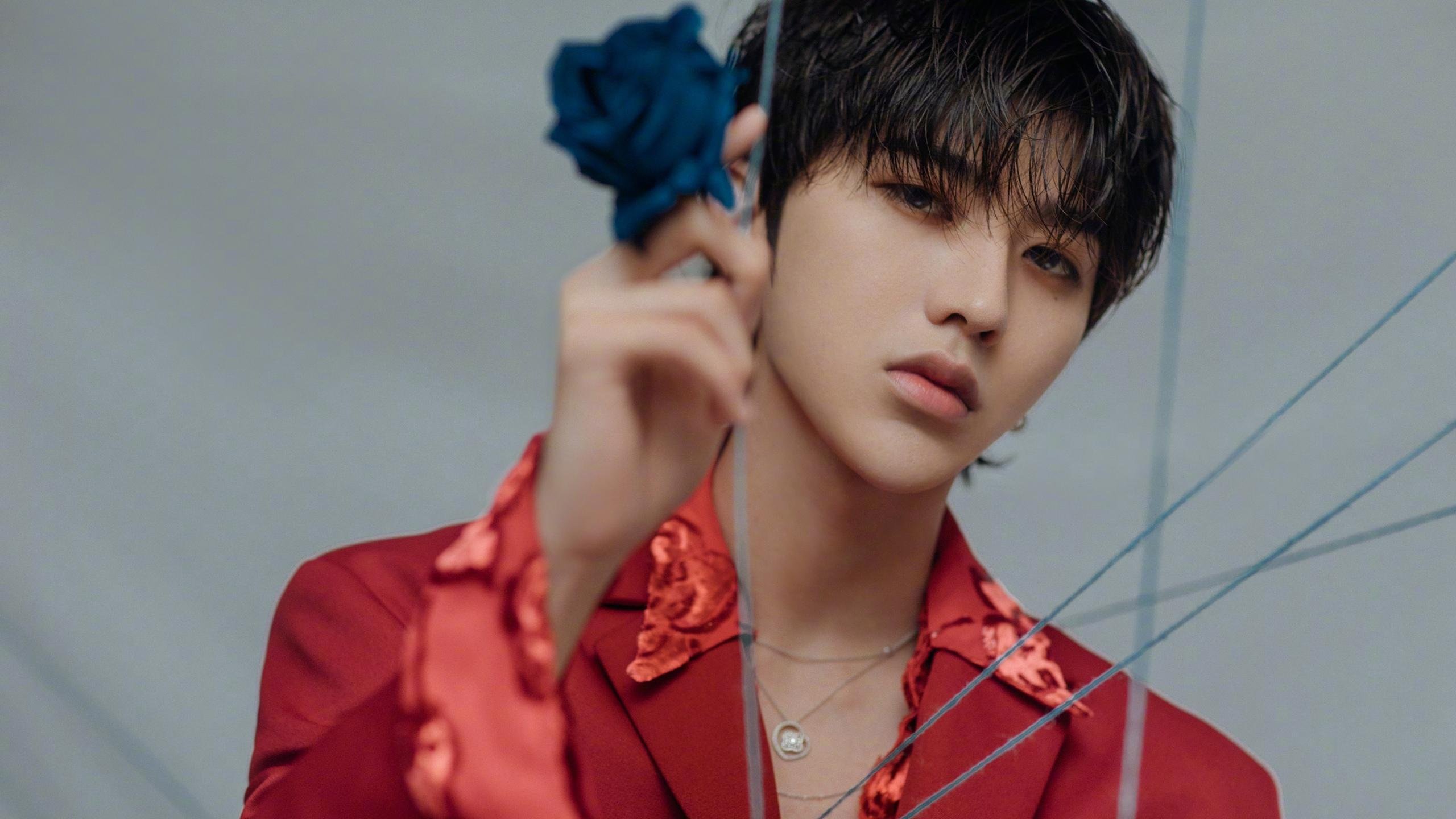 C罗统治全场,爱尔兰险胜委内瑞拉,一场传奇与团队精神的交响