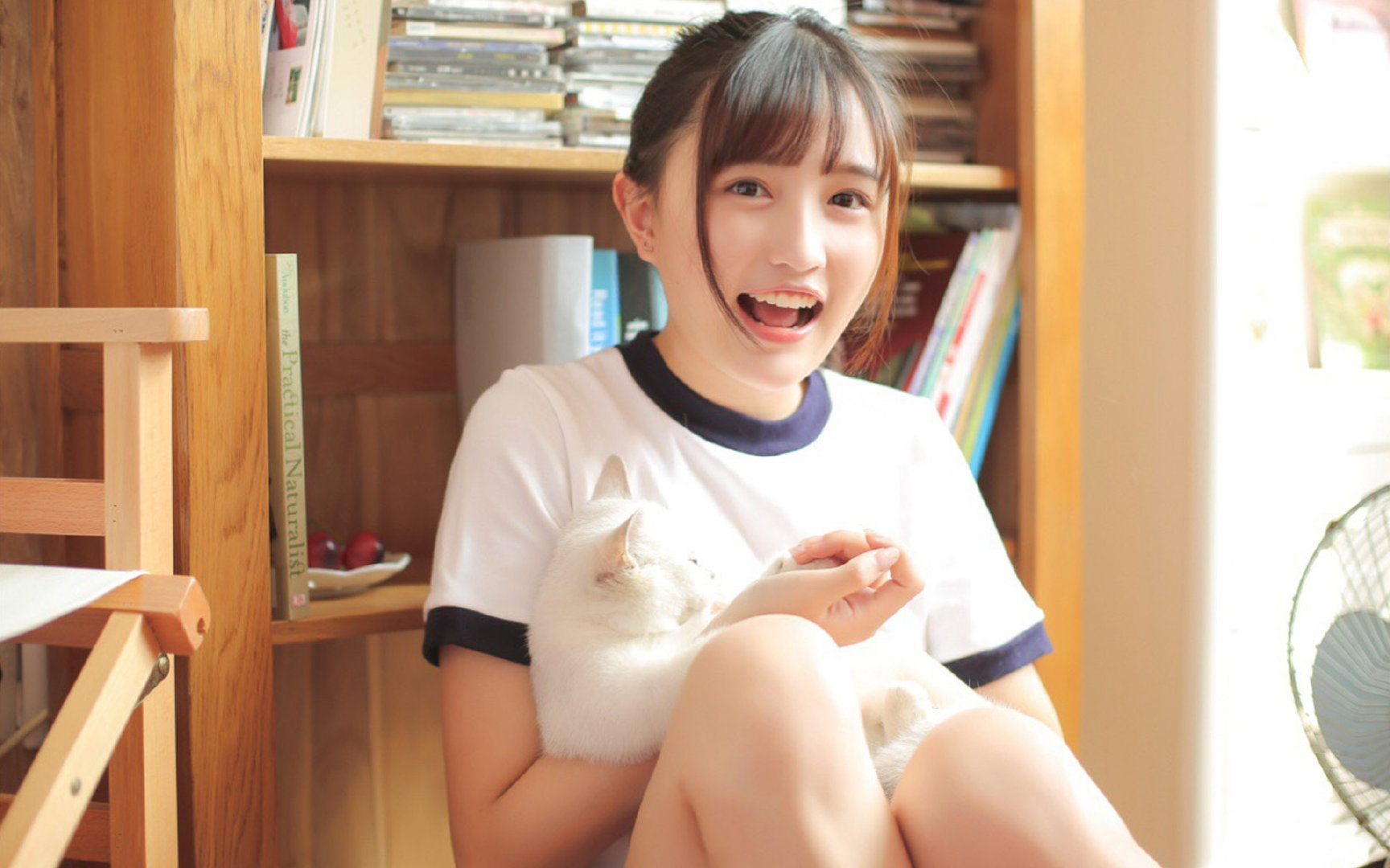 2026,哈兰德的加冕之夜